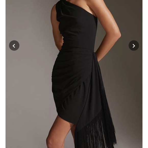 Anthropologie Hutch Fringe Mini Dress 👗 - Picture 2 of 8